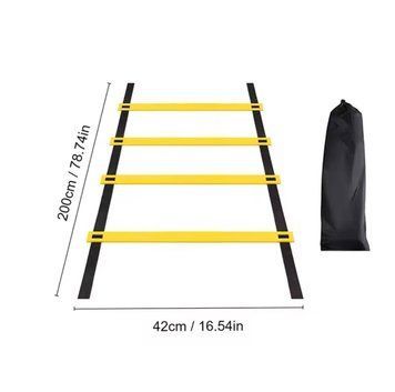 Ladder 2 m